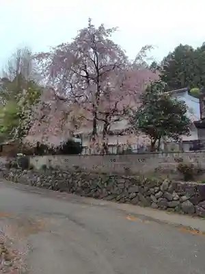 医光寺(群馬県)