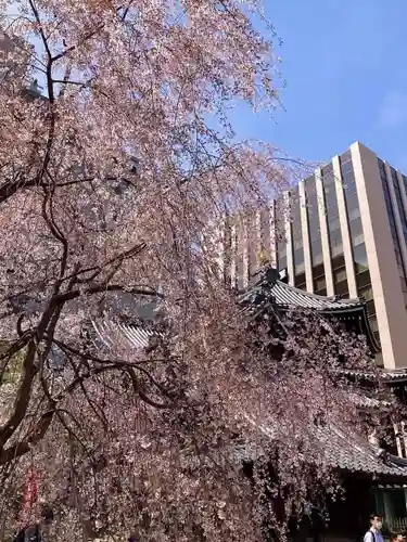 頂法寺（六角堂）(京都府)