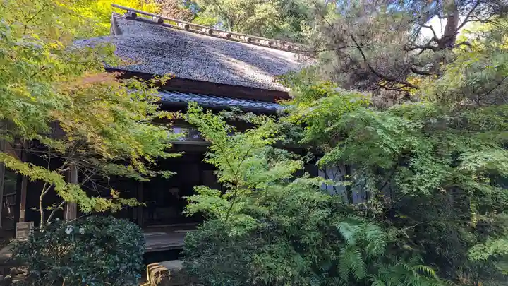 滝口寺(京都府)