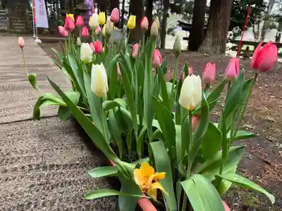 大宮温泉神社(栃木県)