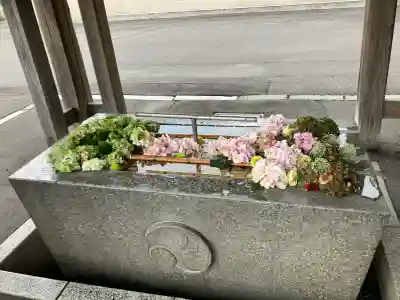 亀田八幡宮(北海道)