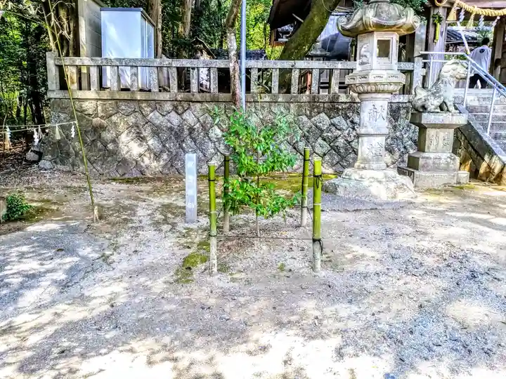 樹木神社のその他建物