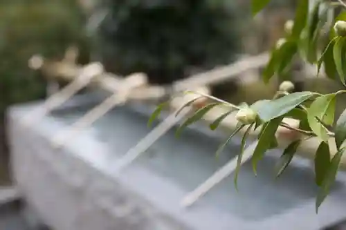 貴嶺宮の建物その他