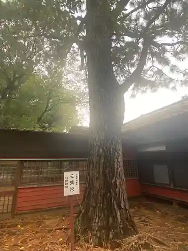 前原御嶽神社(千葉県)