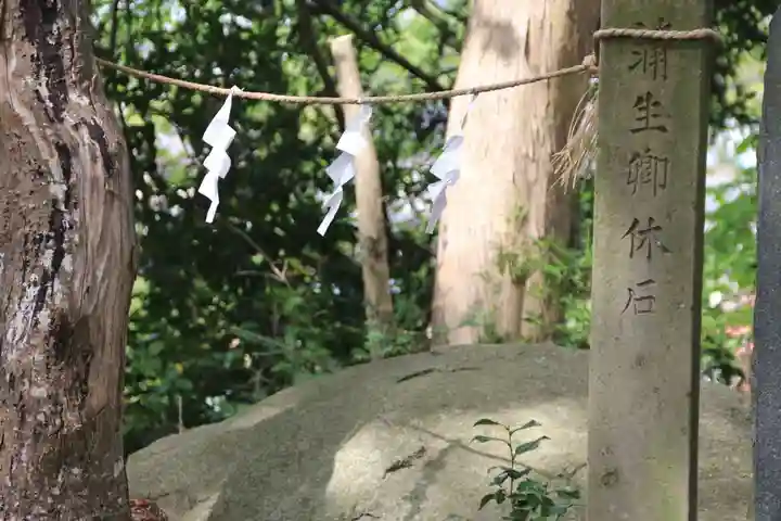 阿久津「田村神社」(郡山市阿久津町)旧社名:伊豆箱根三嶋三社のその他建物
