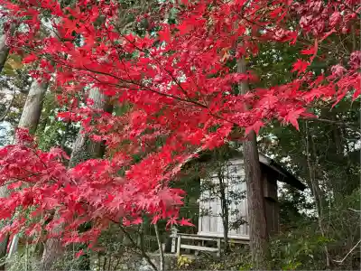 秩父御嶽神社(埼玉県)