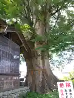日吉神社(富山県)