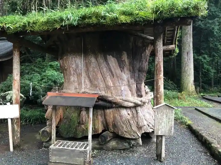 小國神社(静岡県)