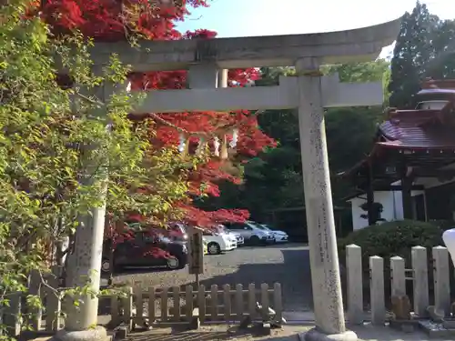 金蛇水神社の鳥居