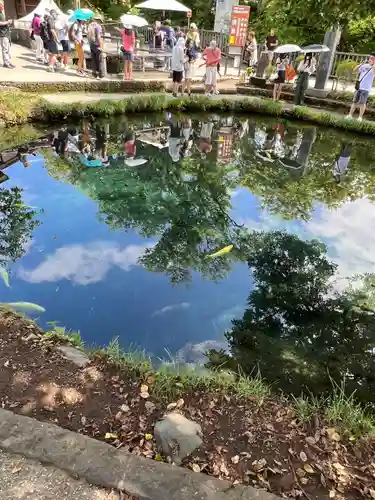 淺間神社（忍野八海）(山梨県)