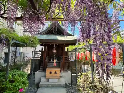 藤之宮 春日神社(野田の藤跡)(大阪府)
