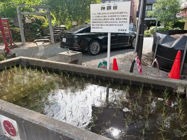 鎮守氷川神社の{uncategorized: "未分類", other: "その他", undefined: "問題あり", building: "その他建物", grave: "お墓", sacred_gate: "鳥居", guardian: "狛犬", statue: "像", buddha: "仏像", history: "歴史", nature: "自然", garden: "庭園", animal: "動物", pagoda: "塔", temizu: "手水舎", mountain_gate: "山門・神門", sanctuary: "本殿・本堂", subordinate: "末社・摂社", art: "芸術", scenery: "景色", jizo: "地蔵", ema: "絵馬", goshuin: "御朱印", omikuji: "おみくじ", items: "授与品その他", amulet: "お守り", goshuincho: "御朱印帳", eats: "食事", festival: "お祭り", votive_dance: "神楽", shichigosan: "七五三参", wedding: "結婚式", experience: "体験その他", initially: "初詣", around: "周辺", anti_infection: "感染症対策"}