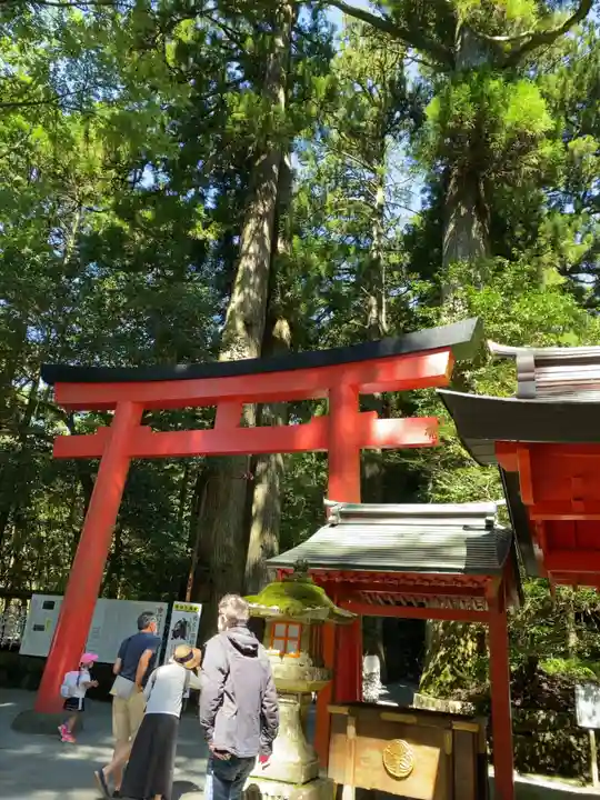 箱根神社の鳥居