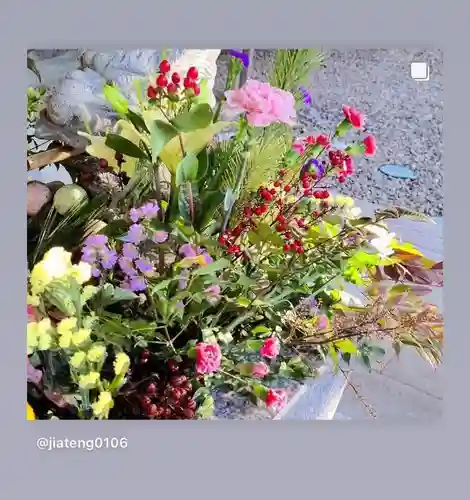 滑川神社 - 仕事と子どもの守り神の手水舎