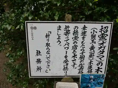 息栖神社の建物その他