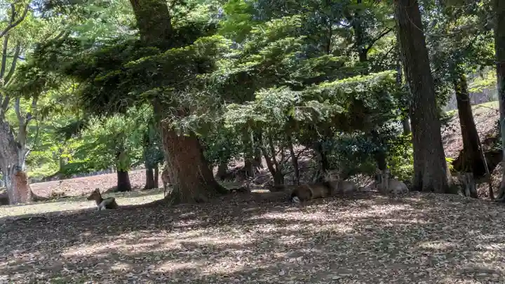 東大寺(奈良県)
