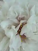 薬師院(兵庫県)