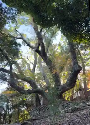 大水神社（皇大神宮摂社）・川相神社（皇大神宮末社）・熊淵神社（皇大神宮末社）(三重県)