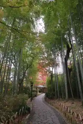 指月殿(静岡県)