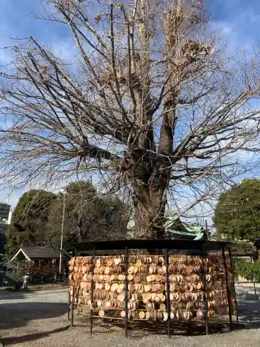 今戸神社(東京都)