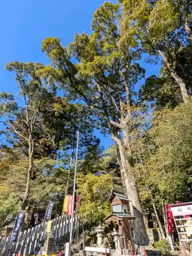 敢國神社の{uncategorized: "未分類", other: "その他", undefined: "問題あり", building: "その他建物", grave: "お墓", sacred_gate: "鳥居", guardian: "狛犬", statue: "像", buddha: "仏像", history: "歴史", nature: "自然", garden: "庭園", animal: "動物", pagoda: "塔", temizu: "手水舎", mountain_gate: "山門・神門", sanctuary: "本殿・本堂", subordinate: "末社・摂社", art: "芸術", scenery: "景色", jizo: "地蔵", ema: "絵馬", goshuin: "御朱印", omikuji: "おみくじ", items: "授与品その他", amulet: "お守り", goshuincho: "御朱印帳", eats: "食事", festival: "お祭り", votive_dance: "神楽", shichigosan: "七五三参", wedding: "結婚式", experience: "体験その他", initially: "初詣", around: "周辺", anti_infection: "感染症対策"}