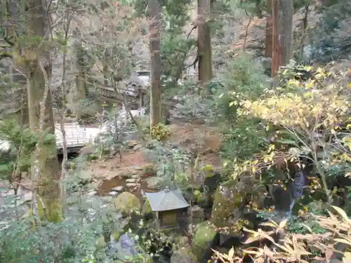 最乗寺（道了尊）の自然