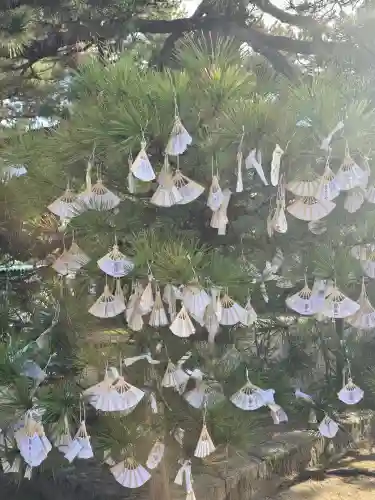 智恩寺(京都府)