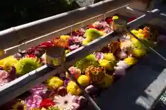 豊景神社の手水