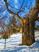 相馬神社(北海道)