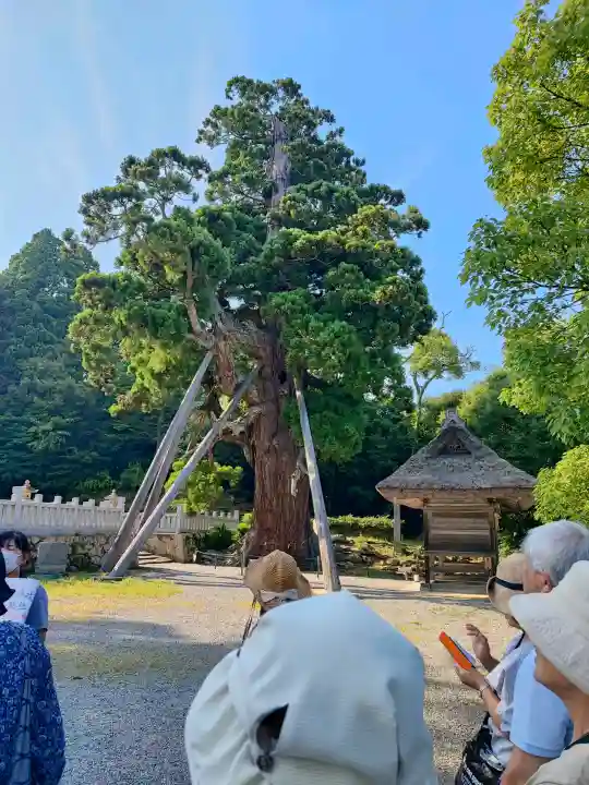 玉若酢命神社(島根県)