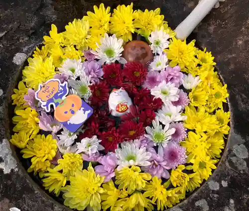 真言宗　善通寺派　薬王寺(香川県)