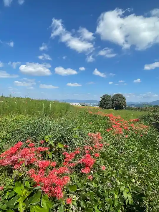 九品寺(奈良県)
