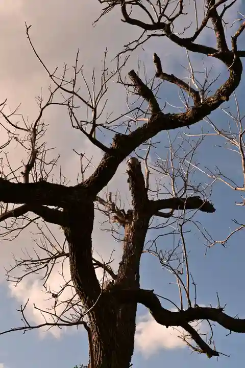 大洲神社(愛媛県)