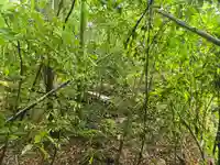 禅林院(滋賀県)