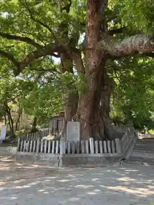岡上神社(徳島県)
