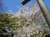 岐阜護國神社(岐阜県)