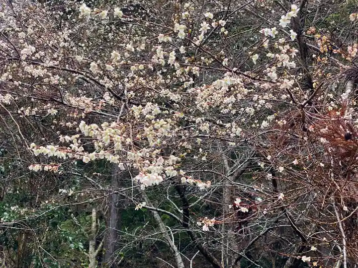 神藏寺(京都府)