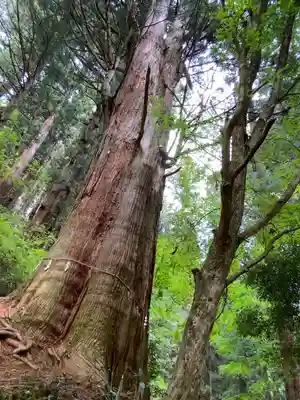 花園神社(茨城県)
