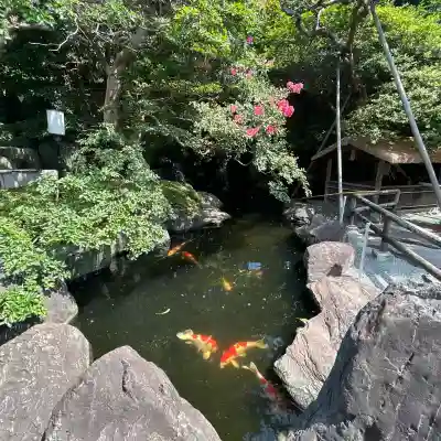 樹源寺(神奈川県)