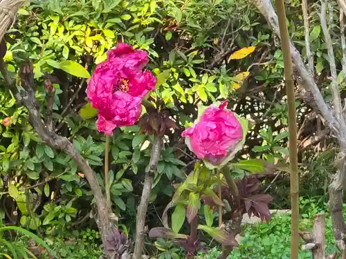 石光寺(奈良県)