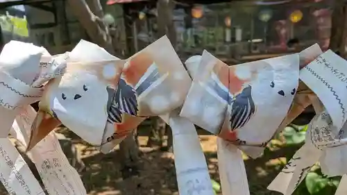 札幌護國神社のおみくじ