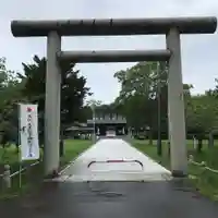 札幌護國神社の鳥居