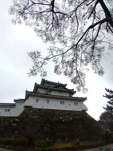和歌山縣護國神社の{uncategorized: "未分類", other: "その他", undefined: "問題あり", building: "その他建物", grave: "お墓", sacred_gate: "鳥居", guardian: "狛犬", statue: "像", buddha: "仏像", history: "歴史", nature: "自然", garden: "庭園", animal: "動物", pagoda: "塔", temizu: "手水舎", mountain_gate: "山門・神門", sanctuary: "本殿・本堂", subordinate: "末社・摂社", art: "芸術", scenery: "景色", jizo: "地蔵", ema: "絵馬", goshuin: "御朱印", omikuji: "おみくじ", items: "授与品その他", amulet: "お守り", goshuincho: "御朱印帳", eats: "食事", festival: "お祭り", votive_dance: "神楽", shichigosan: "七五三参", wedding: "結婚式", experience: "体験その他", initially: "初詣", around: "周辺", anti_infection: "感染症対策"}