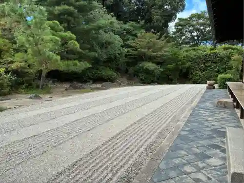 南宗寺(大阪府)