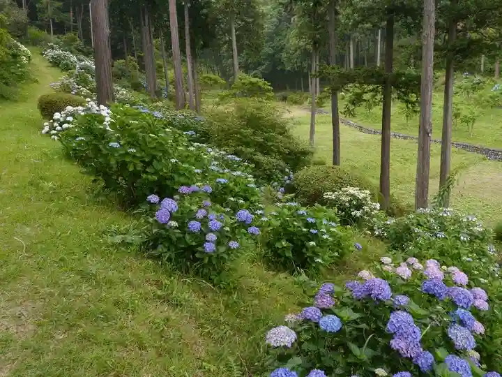塩船観音寺の自然