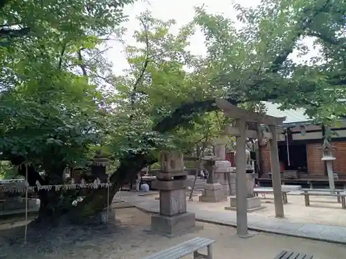 聖天山正圓寺の鳥居