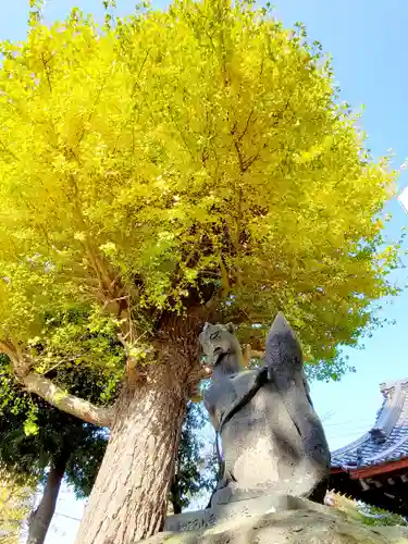 晴門田神社の狛犬