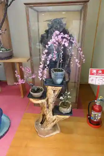 菅原天満宮（菅原神社）(奈良県)