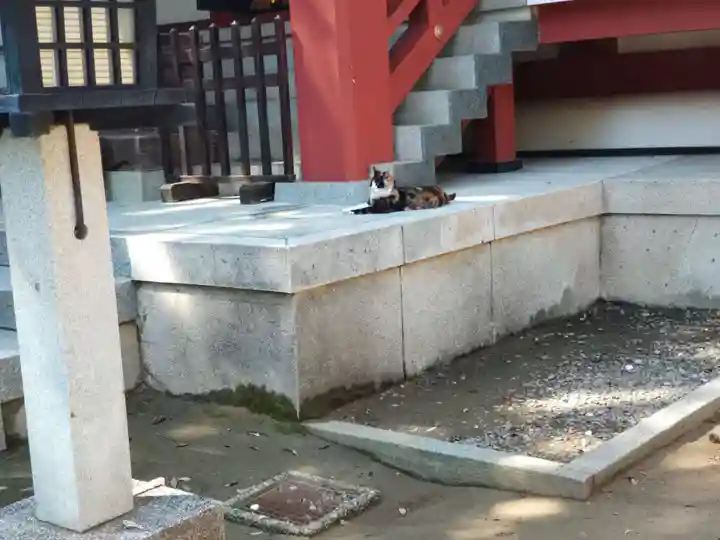 柏諏訪神社の動物