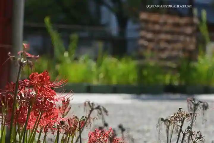 磐井神社(東京都)